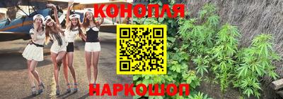 Альфа ПВП Будённовск